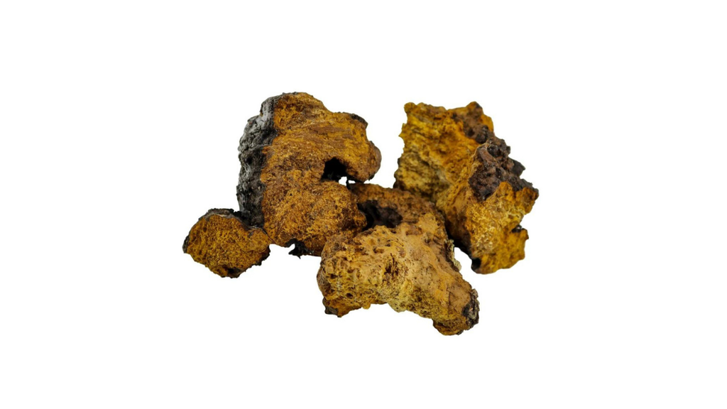 Benefits of Chaga in Body Building