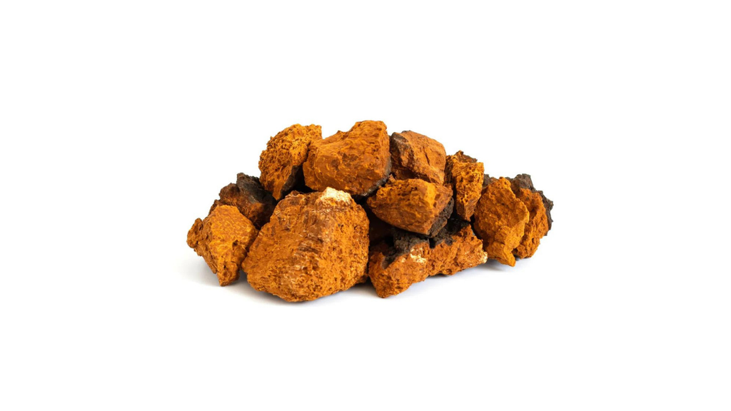 Best Time to Take Chaga Mushroom