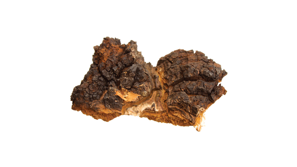 Can Chaga Mushroom Help in Managing Allergies?