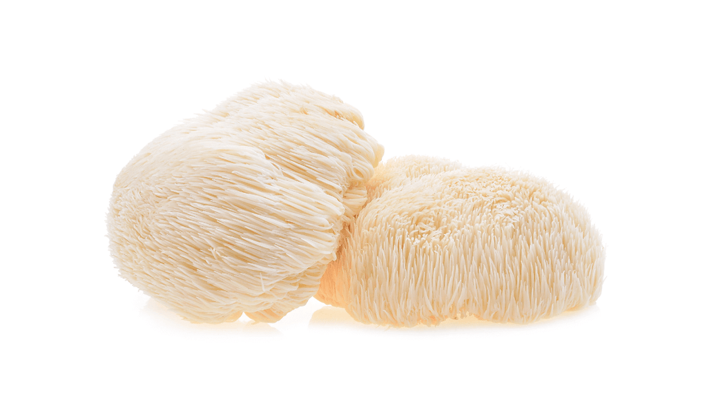 Is Lion's Mane Good for Acne?