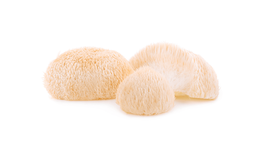 Can Lion's Mane Mushroom Help Psoriasis & Other Skin Conditions?