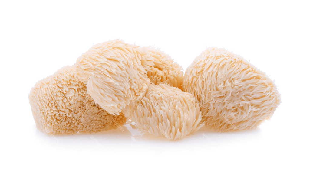 Can Lion’s Mane Mushroom Help with Tremors?