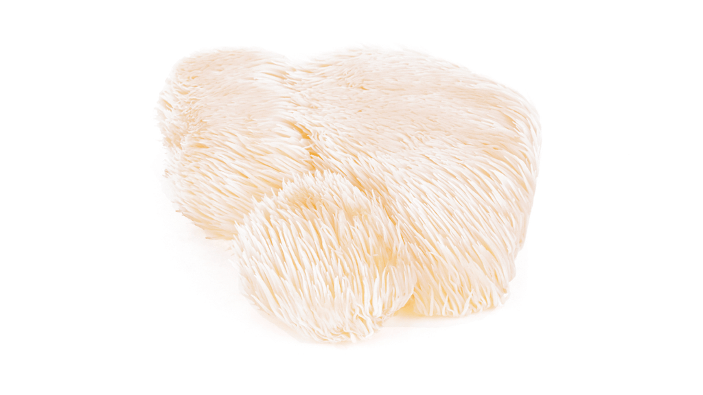 Can Lion's Mane Mushroom Help Arthritis? | Osteoarthritis Care & Relief