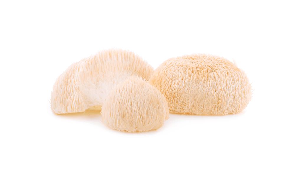 Can Lion’s Mane Mushrooms Help with Migraines?