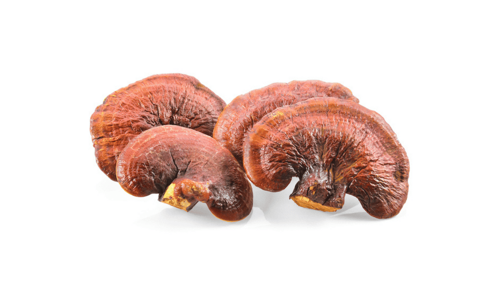 Can Reishi Help Anxiety? Exploring the Potential Benefits