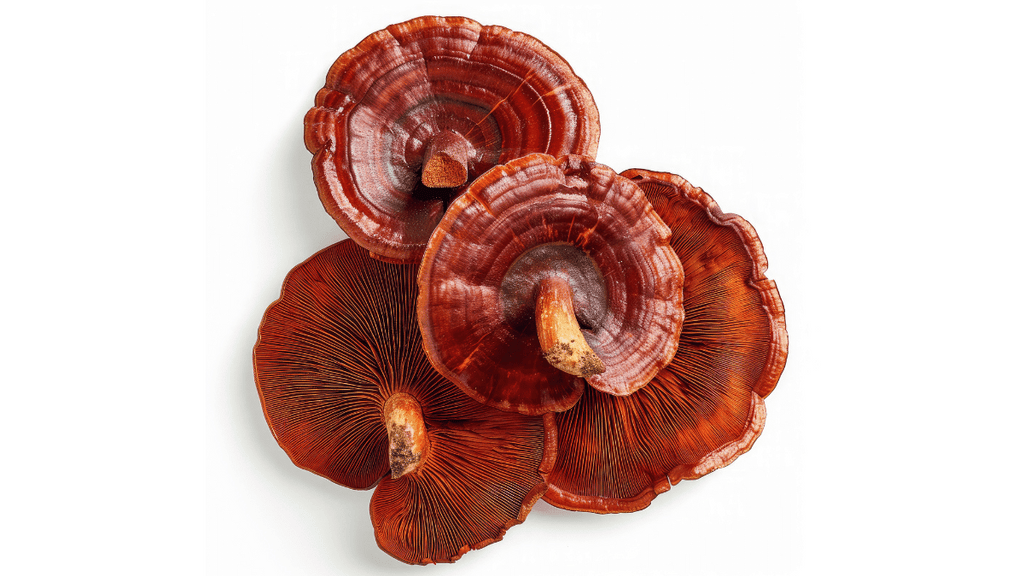 Can Reishi Help with Tremors?