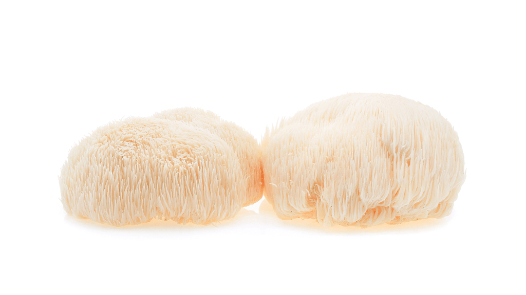 Does Lion's Mane Boost Your Immune System?