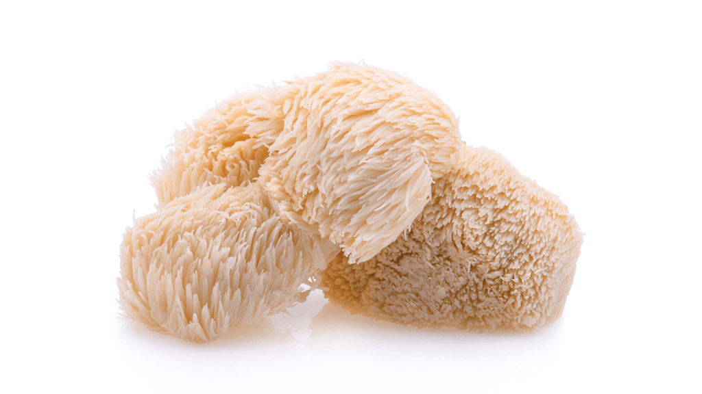 Is Lion's Mane Good for Your Lungs? | Respiratory & Asthma Benefits