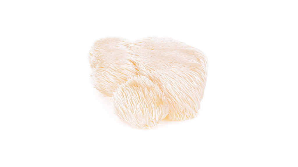 Does Lion's Mane Reduce Cortisol? Stress & Cortisol Management