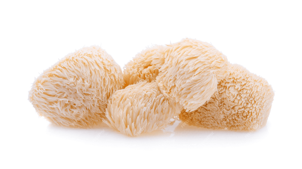 Does Lion's Mane Mushroom Help Inflammation? | Anti-Inflammatory Benefits