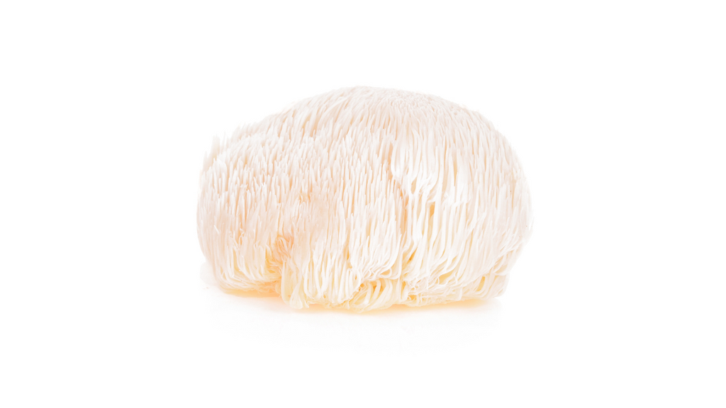 Does Lion's Mane Help Gut Health? | Digestive & Intestinal Benefits