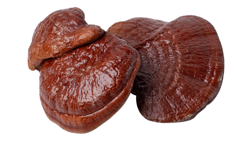 Does Reishi Help with ADHD?