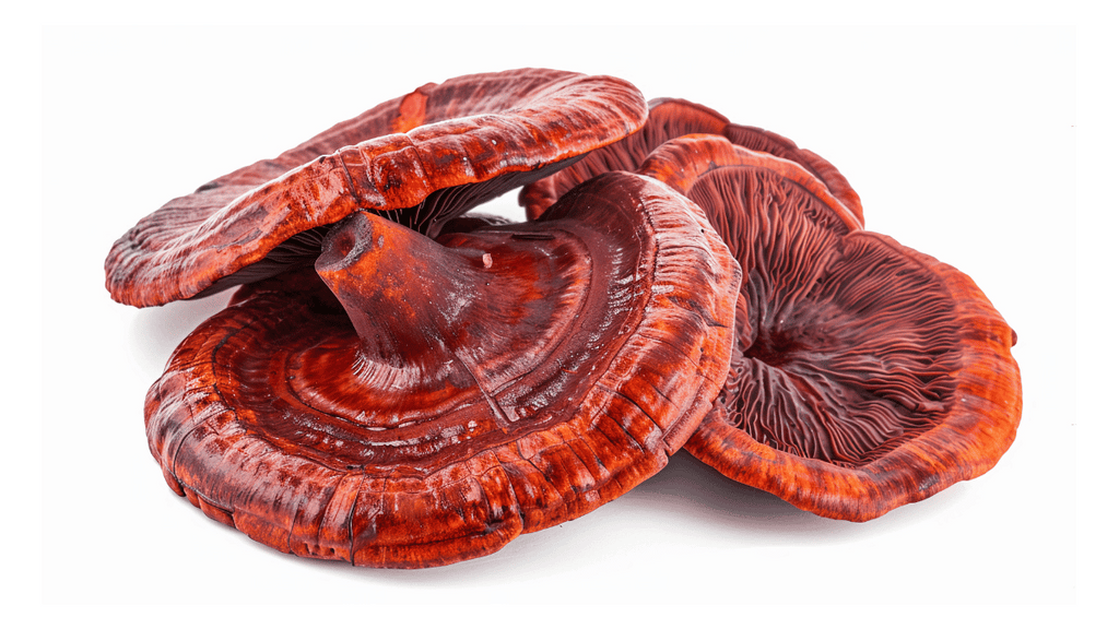 Is Reishi Good for Your Heart?
