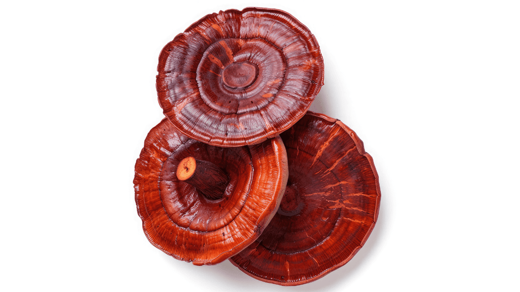 What Does Reishi Do For Sleep?