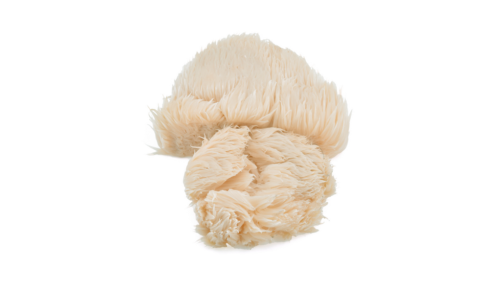 Is Lion's Mane Good for Your Heart?